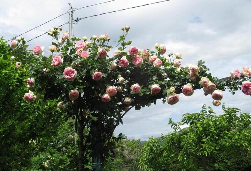 Отель Agriturismo La Vigna