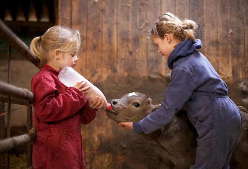 Hotel Koe In De Kost