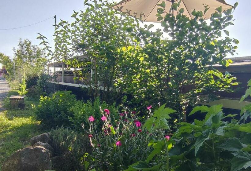 צימר Bateau Entre Lille Et Paris