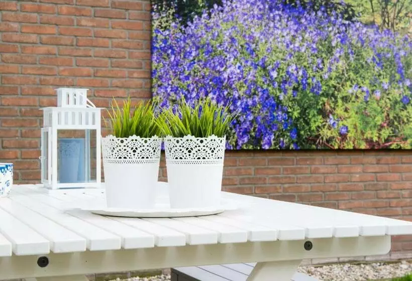 Bed And Breakfast De Reggestee