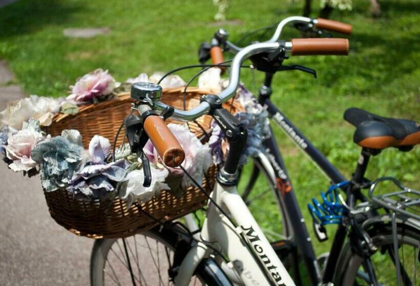 Bed and Breakfast Elena S Home