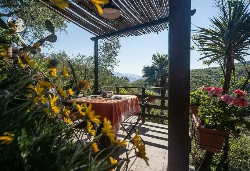 Aamiaismajoitus (B&B) La Fattoria Di Nonna Eugenia