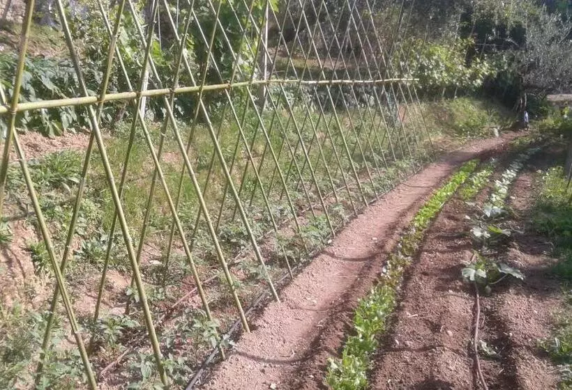 Aamiaismajoitus (B&B) La Fattoria Di Nonna Eugenia