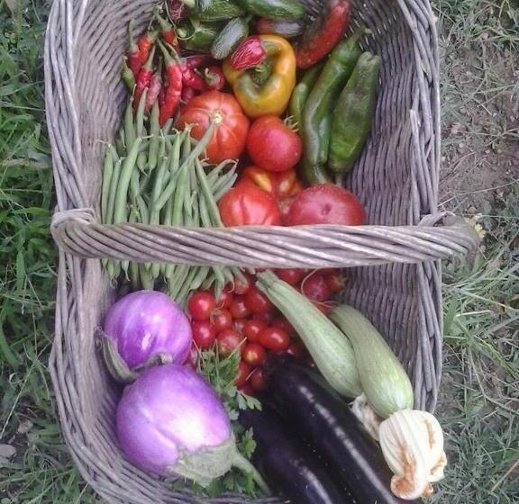 צימר La Fattoria Di Nonna Eugenia