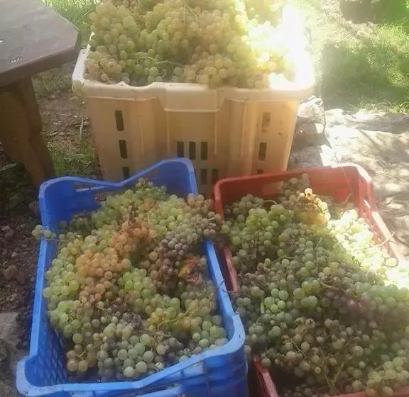 Aamiaismajoitus (B&B) La Fattoria Di Nonna Eugenia