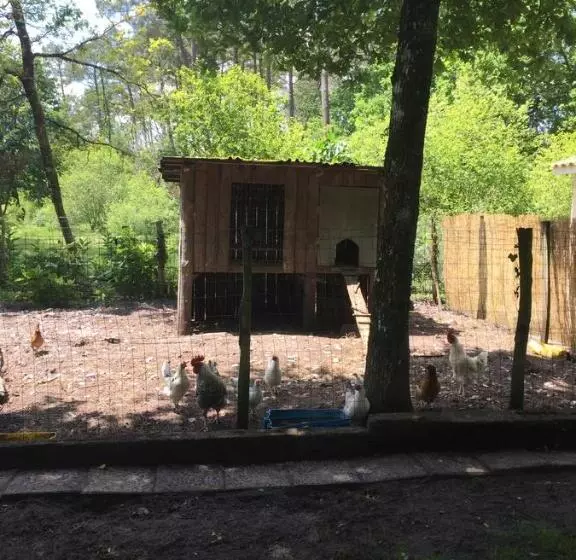 Aamiaismajoitus (B&B) La Maison De Caroline