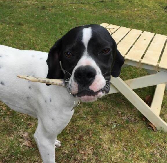 Bed and Breakfast La Maison De Caroline