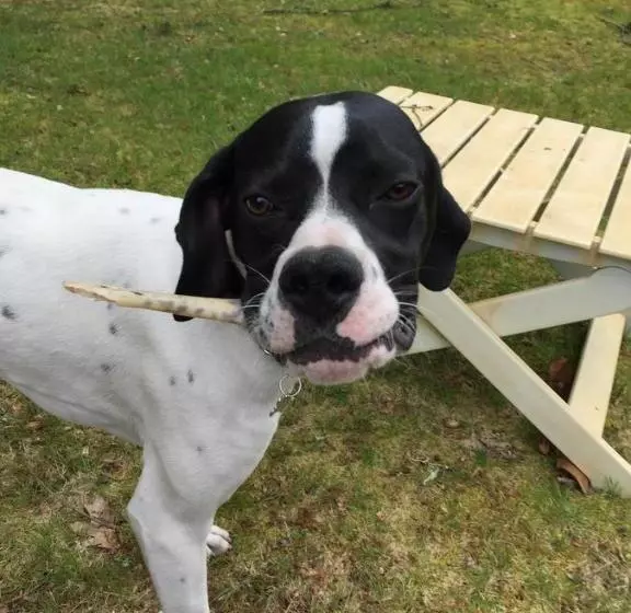 Aamiaismajoitus (B&B) La Maison De Caroline