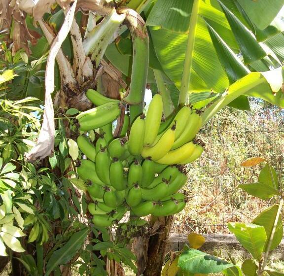 تختخواب و صبحانه Le Chalet La Fontaine Saint Leu