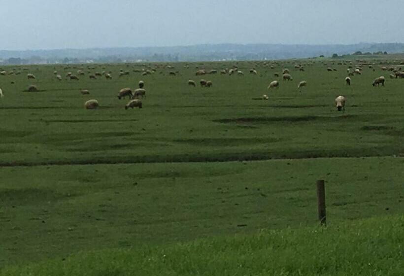 ベッドアンドブレックファースト Marie France  S Home