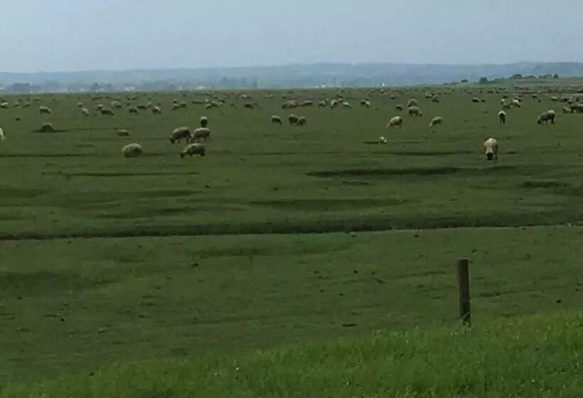 ベッドアンドブレックファースト Marie France  S Home