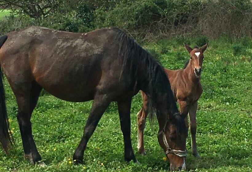 ベッドアンドブレックファースト Marie France  S Home