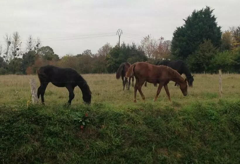 ベッドアンドブレックファースト Marie France  S Home