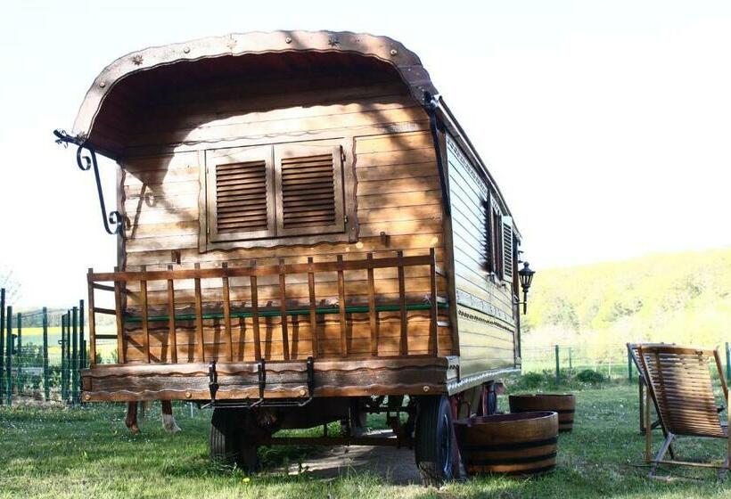 Bed and Breakfast Roulotte Montfée