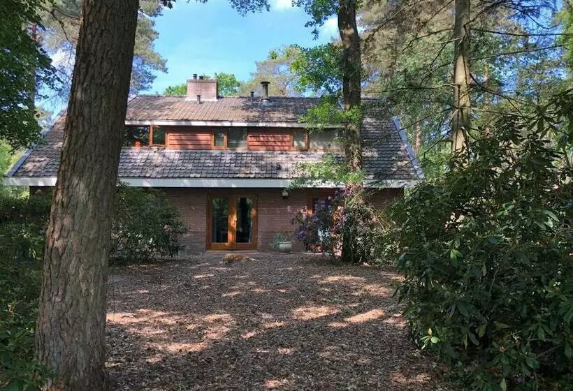 ペンション B&b Wicherumloo