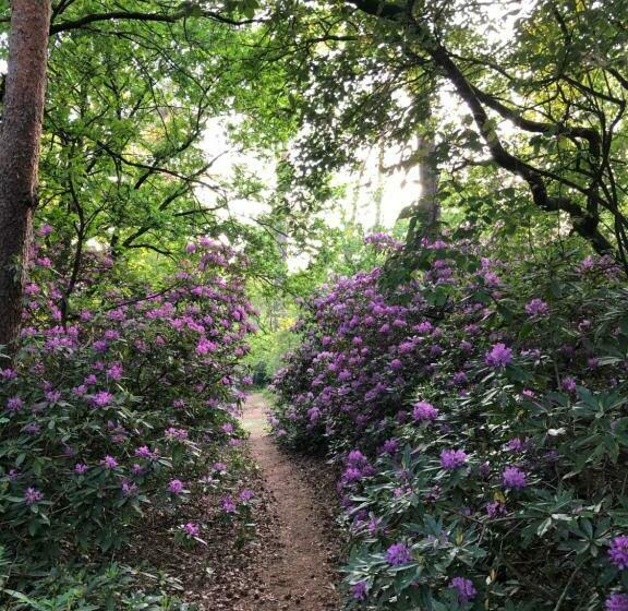 פנסיון B&b Wicherumloo