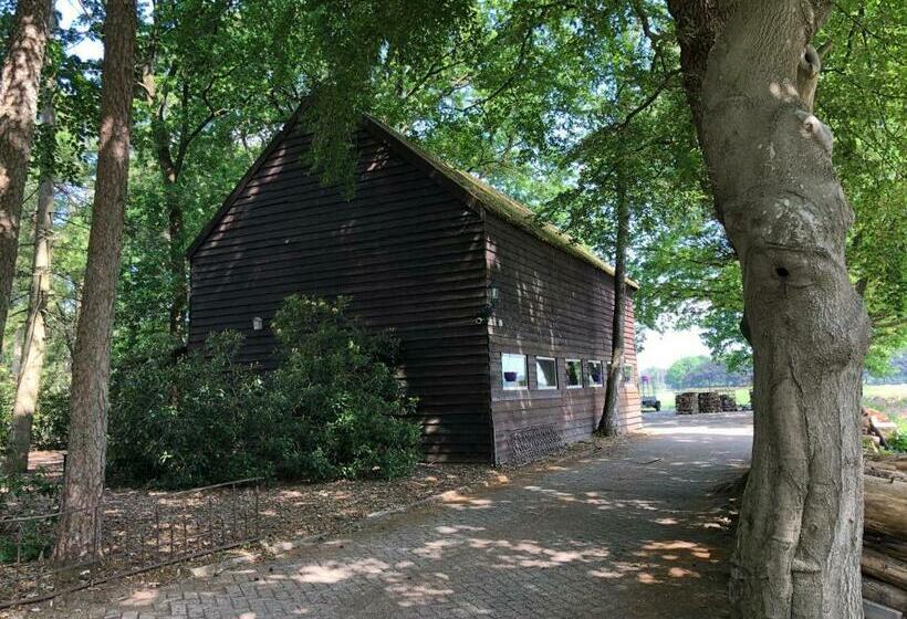 פנסיון B&b Wicherumloo