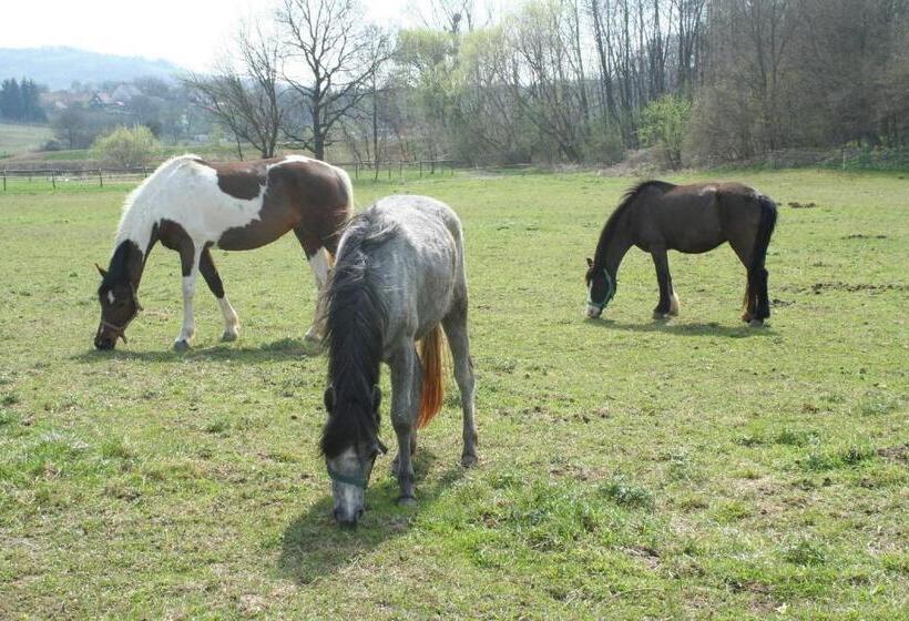 Пансион Gadányi Vendégház és Lovarda