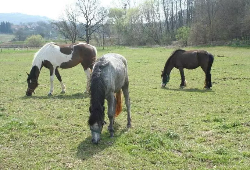 Majatalo Gadányi Vendégház és Lovarda