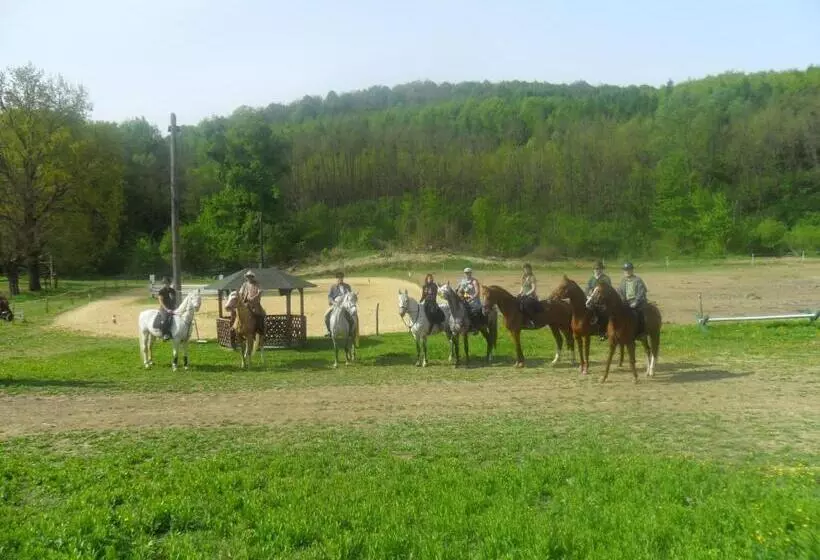 Majatalo Gadányi Vendégház és Lovarda