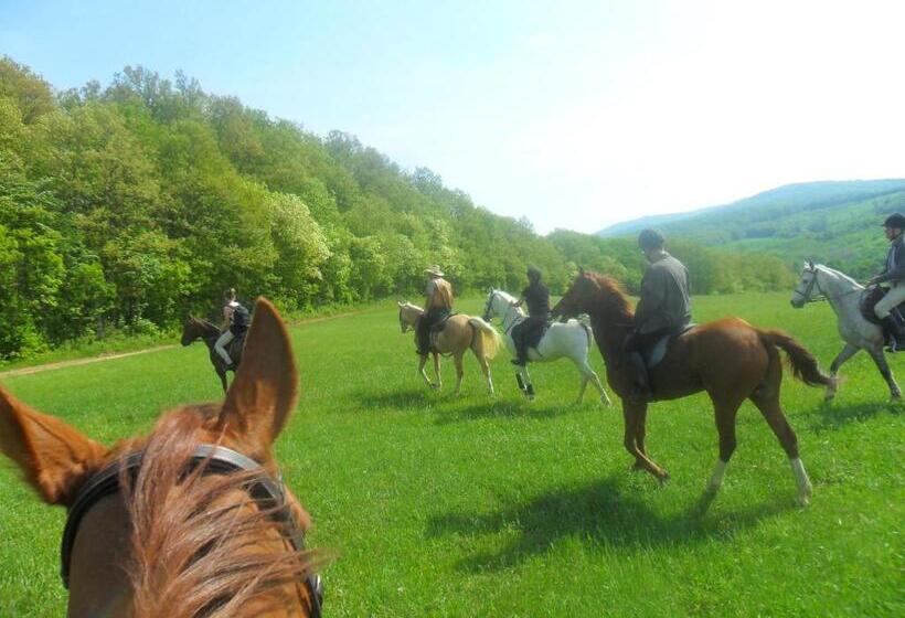 Пансион Gadányi Vendégház és Lovarda