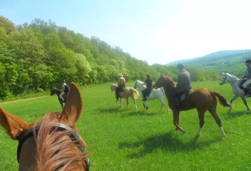 Majatalo Gadányi Vendégház és Lovarda