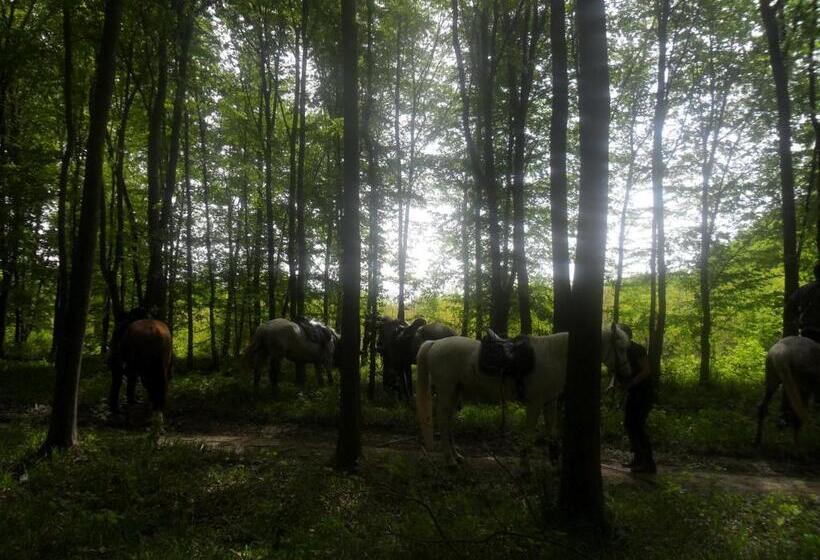 Пансион Gadányi Vendégház és Lovarda