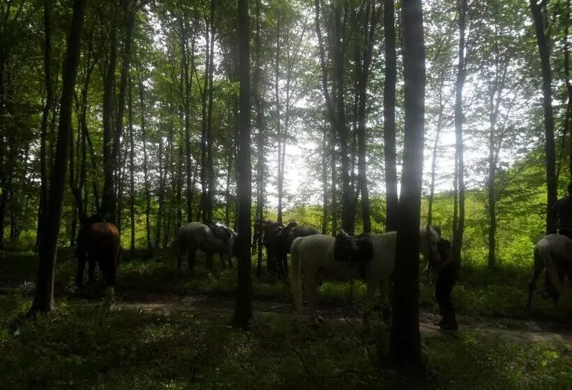 Majatalo Gadányi Vendégház és Lovarda