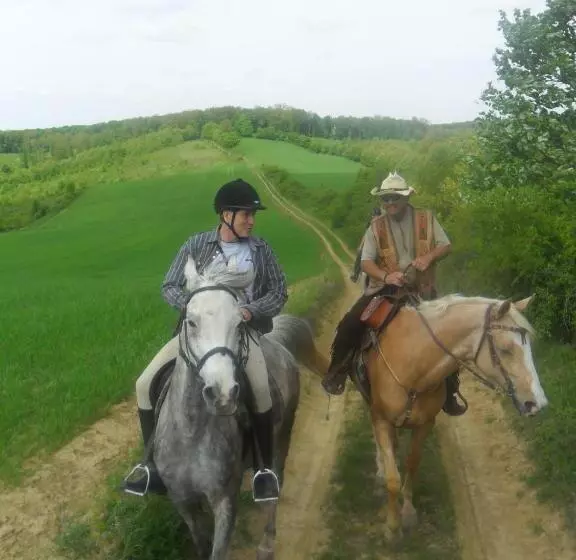 Majatalo Gadányi Vendégház és Lovarda