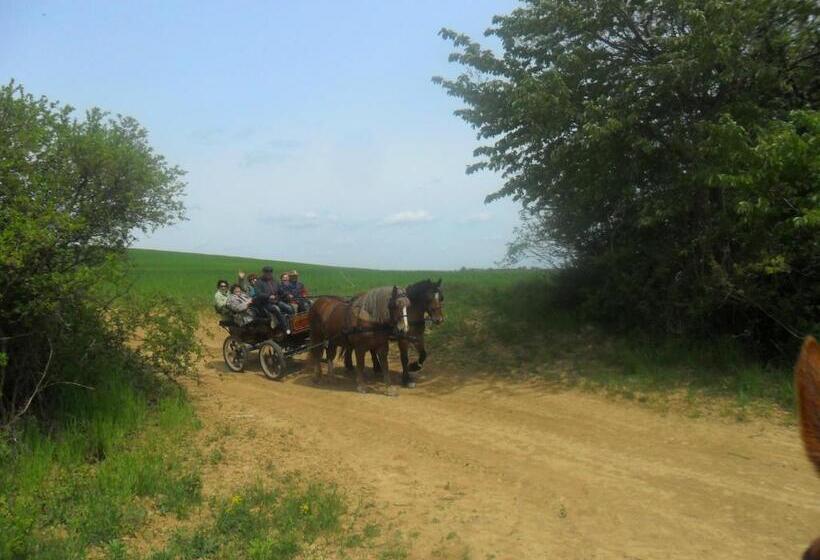 Пансион Gadányi Vendégház és Lovarda
