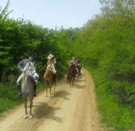 Majatalo Gadányi Vendégház és Lovarda
