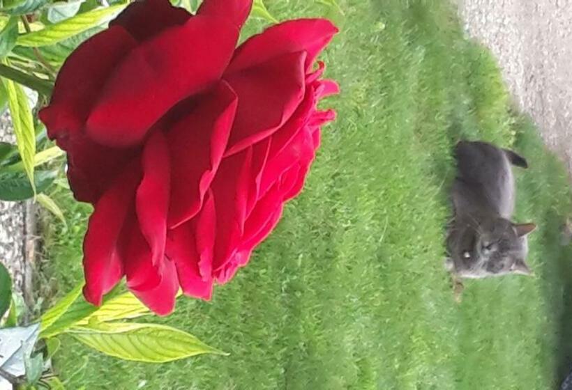 Пансион Les Chambres D Hôtes Joy