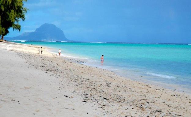 پانسیون Son House Studio