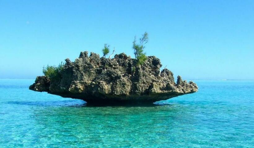 پانسیون Son House Studio