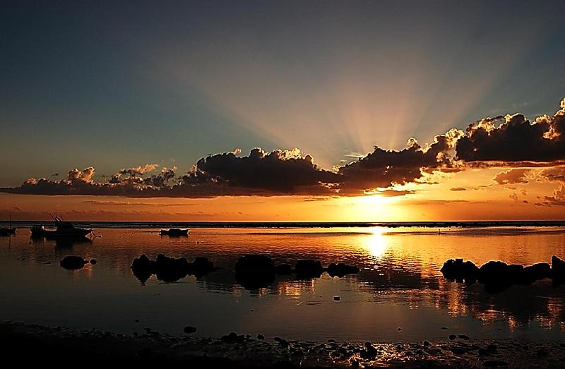 پانسیون Son House Studio