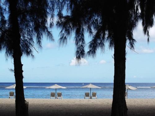 پانسیون Son House Studio