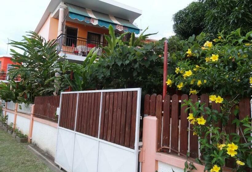 پانسیون Son House Studio