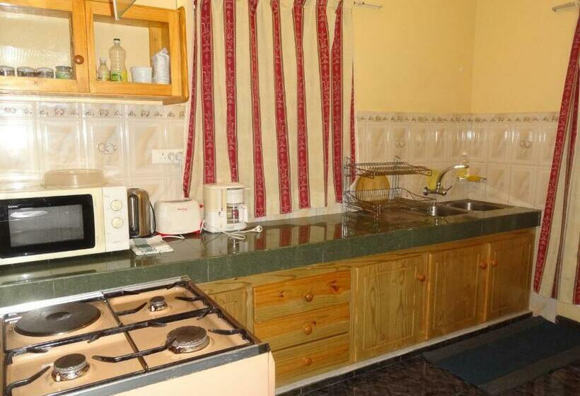 پانسیون Son House Studio