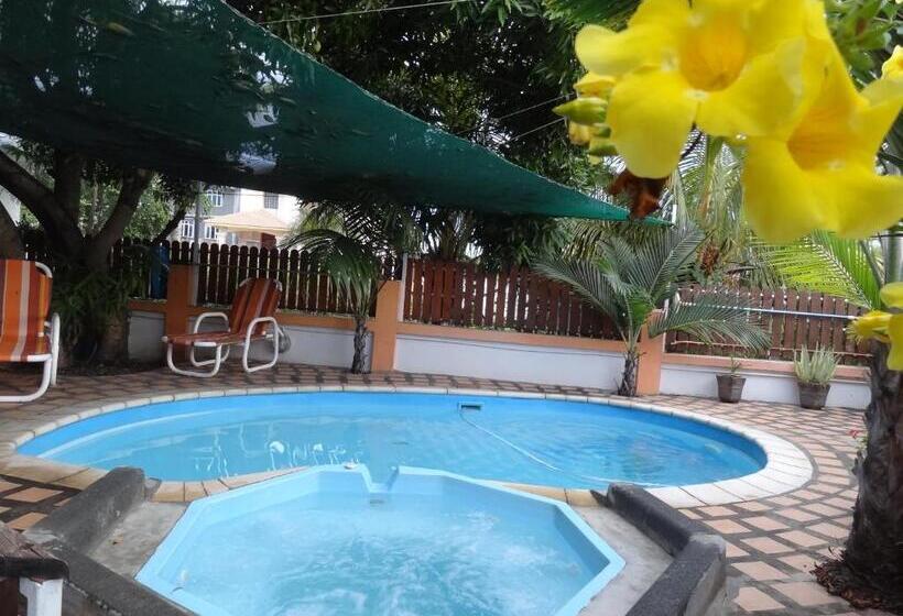 پانسیون Son House Studio