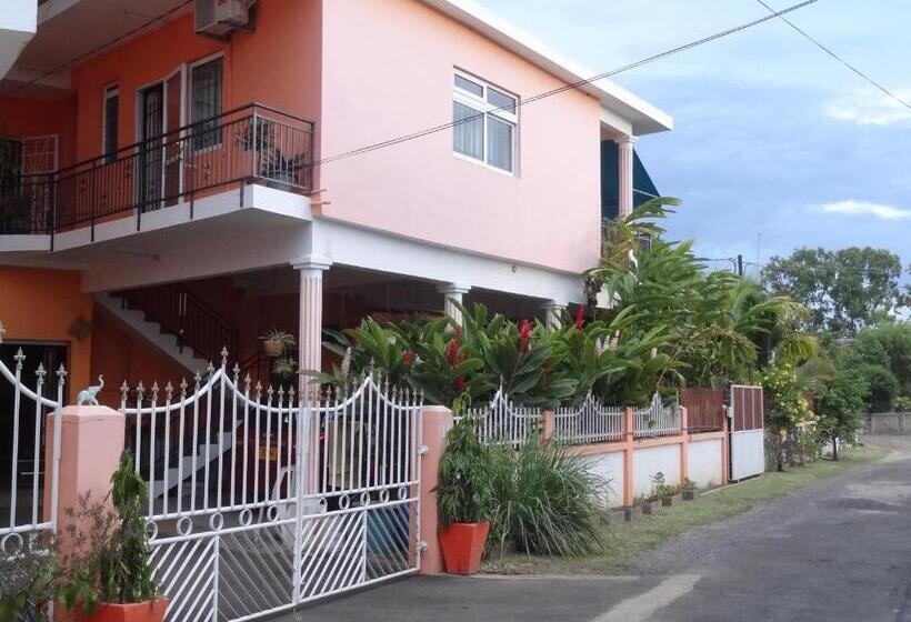 پانسیون Son House Studio