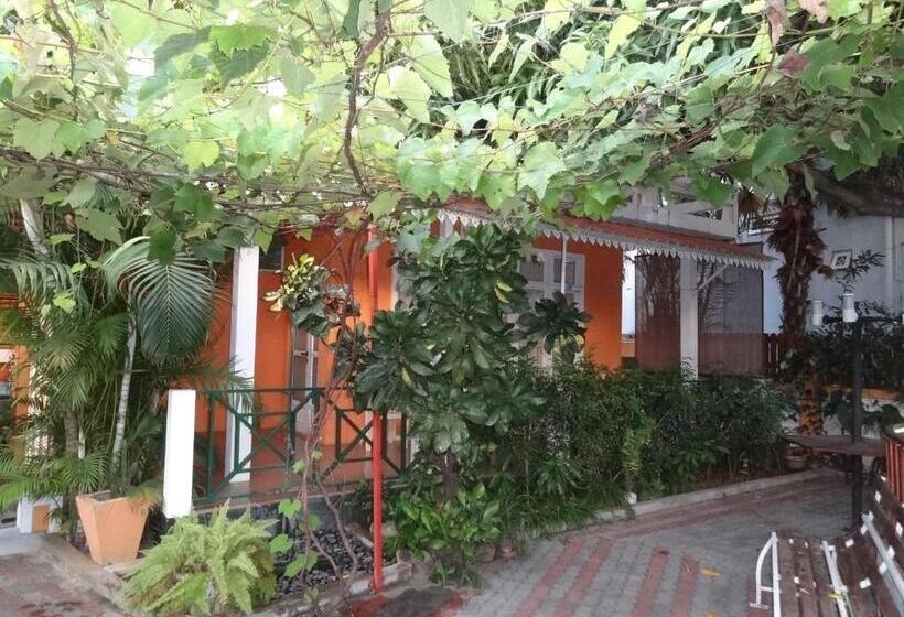 پانسیون Son House Studio