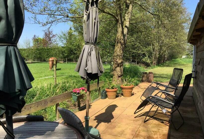 פנסיון The Old Barn