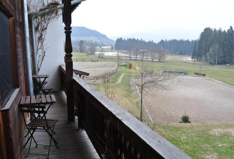 ペンション Weberhof Hopfgarten