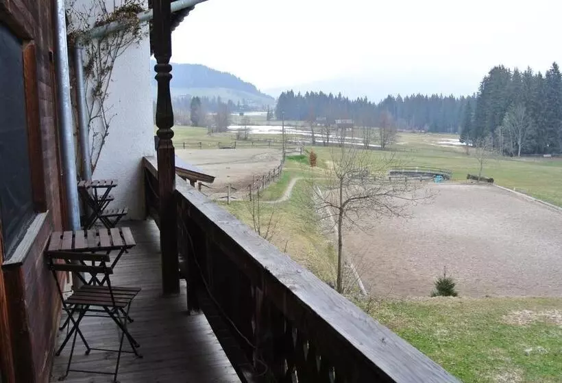 Majatalo Weberhof Hopfgarten