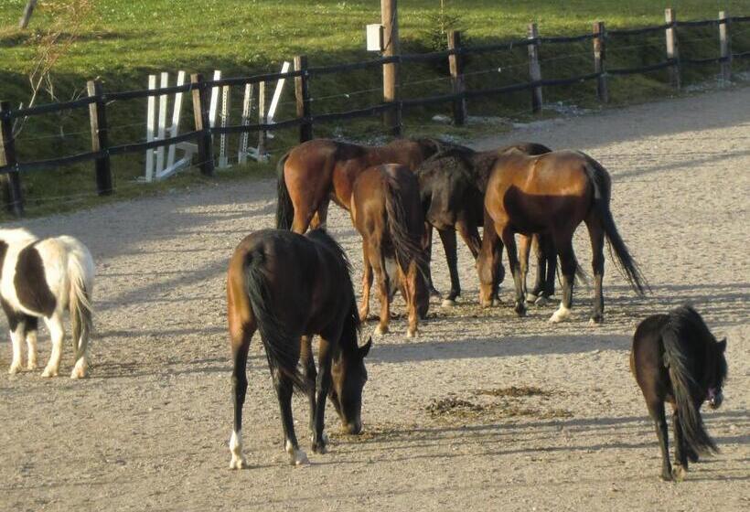 ペンション Weberhof Hopfgarten