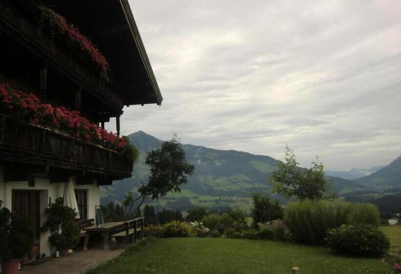 ペンション Weberhof Hopfgarten