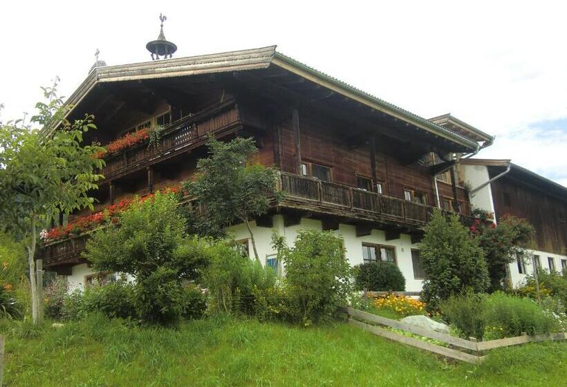 ペンション Weberhof Hopfgarten