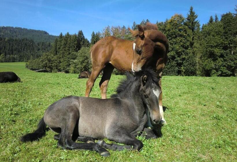 ペンション Weberhof Hopfgarten