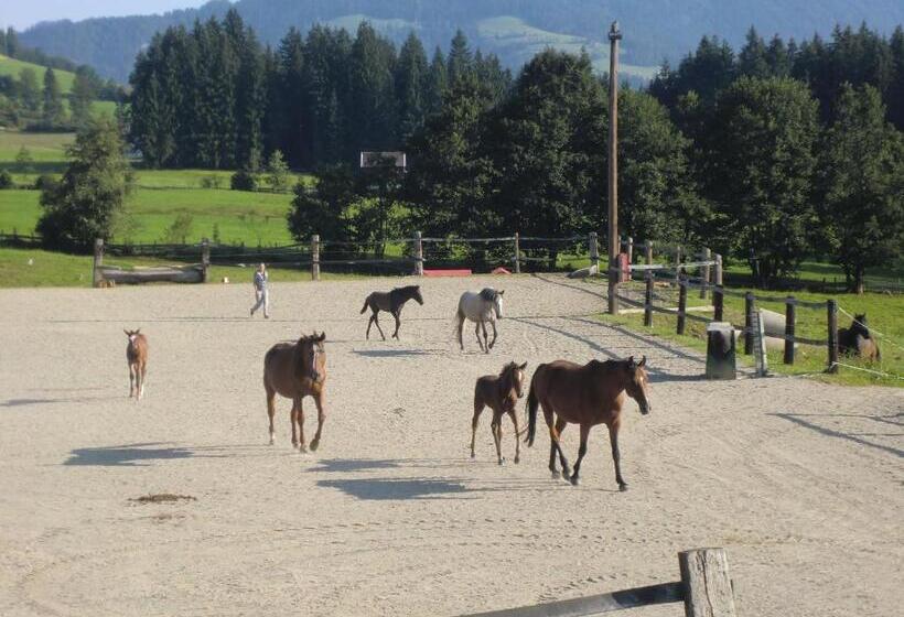 ペンション Weberhof Hopfgarten