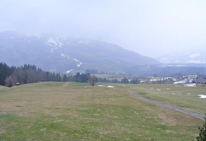 ペンション Weberhof Hopfgarten